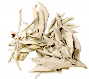 White Sage Loose 1 oz