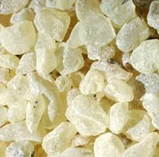 White Copal Resin